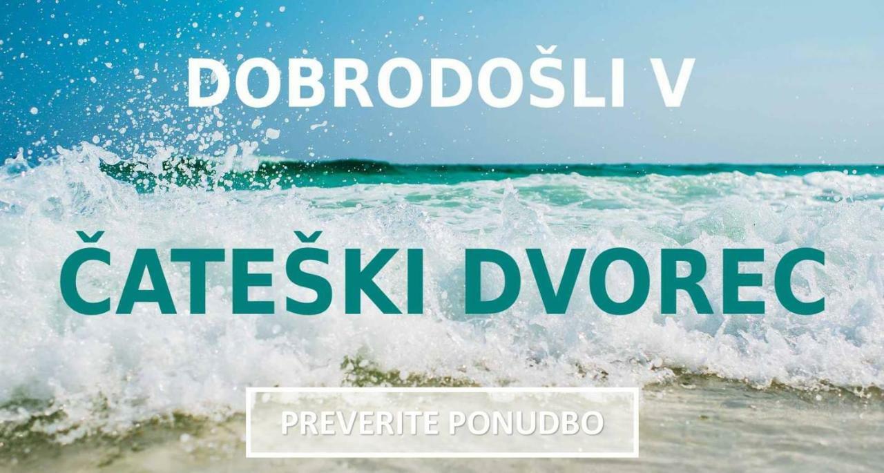 Hotel Cateski Dvorec チャテジ・オプ・サヴィ エクステリア 写真